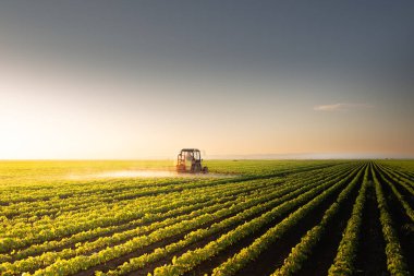 Pestisitler soya sahada püskürtücü ile bahar püskürtme traktör