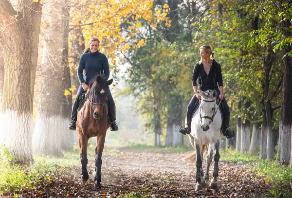 Genç kızlar at sırtında orman yolunda