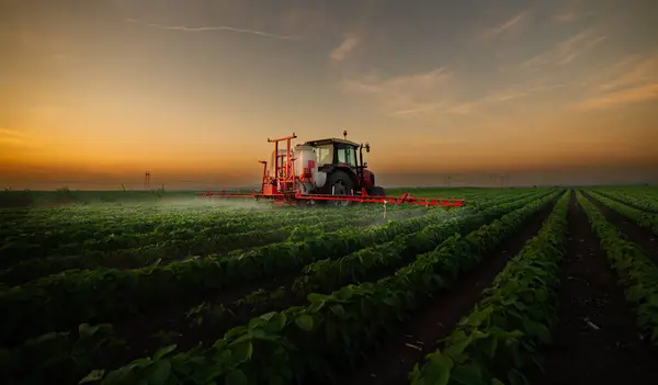 Traktor Versprüht Frühjahr Pestizide Auf Sojabohnenfeld Mit Sprüher Stockbild