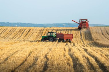 Hasattan sonra karavana buğday aktarımı