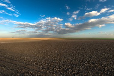 Baharda sürülmüş tarlalar Mavi gökyüzüyle.