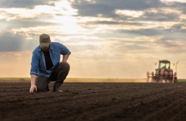 Traktör tarla ekerken genç çiftçi toprağı inceliyor.