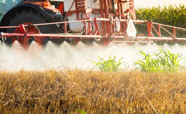 Traktör tarlada böcek ilacı püskürtüyor. 