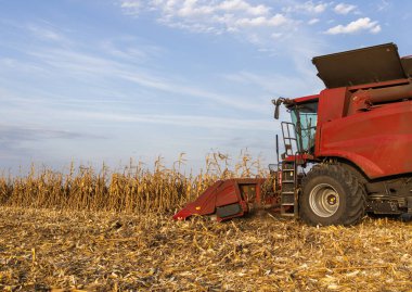Alacakaranlıkta mısırları hasat eden hasatçıyı birleştirin.
