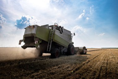 Buğday hasadını birleştir. Traktör hasatçıdan tahılı alıyor.