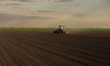 Traktör tohumu eken bir çiftçi. Tarım tarlasına ekin ekiyor. Bitkiler, buğday.
