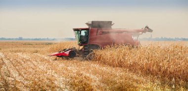 Harvest work. A modern combine harvester working a wheat field, during sunse clipart