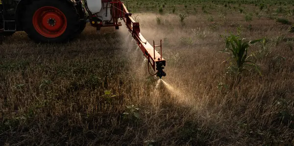 stock image Tractor plowing farm preparing soil for new crop plantation during the evening.