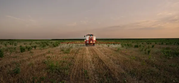 stock image Tractor plowing farm preparing soil for new crop plantation during the evening.