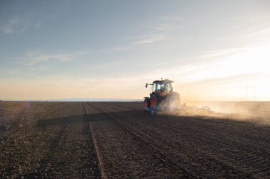 Kırmızı bir traktör toprağı sabanla hazırlar. Gün batımında yeni ekin ekimi için arazi hazırlanıyor.