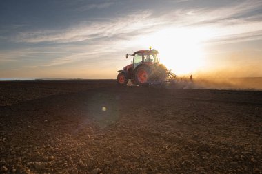 Kırmızı bir traktör toprağı sabanla hazırlar. Gün batımında yeni ekin ekimi için arazi hazırlanıyor.