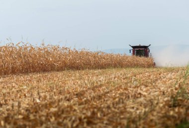 Sunny Day 'de Tarlada Mısır Toplama Operatörünü Birleştir.