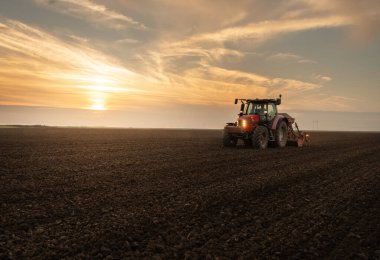 Traktör tohumu eken bir çiftçi. Tarım tarlasına ekin ekiyor. Bitkiler, buğday.