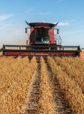 Buğday tarlasında çalışan bir biçerdöver.