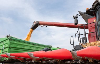 Mısır tahıl hasat Field'da sonra traktör römork dökme