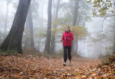 sağlıklı yaşam fitness sportif kadın sabah erken orman alanında çalışan