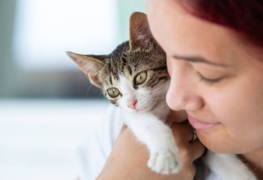Dişi sahibi kedi yavrusunu sevgiyle kucaklıyor. Evcil hayvanlar