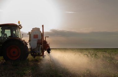 Bir traktör haşereleri ve yabani otları kontrol etmek için kimyasallar püskürtür.