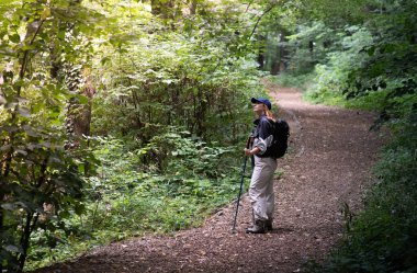 Orman yürüyüşü yapan kadın güz mevsiminde doğa arka planında yürüyor.. 