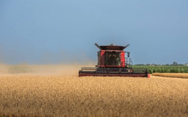 Buğday tarlasında çalışan bir biçerdöver.