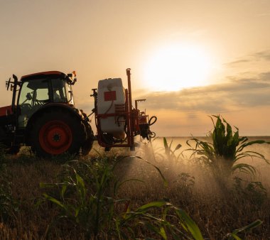 Bir traktör haşereleri ve yabani otları kontrol etmek için kimyasallar püskürtür.