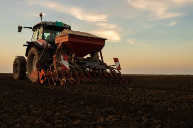 Traktör tohumu eken bir çiftçi. Tarım tarlasına ekin ekiyor. Bitkiler, buğday.