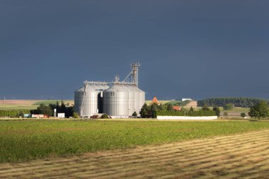 Tarladaki Tahıl Siloları. Bir dizi depolama tankı ekili tarım ürünleri işleme tesisi.