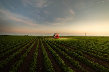 Pestisitler soya sahada püskürtücü ile bahar püskürtme traktör