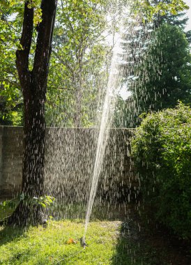 arka bahçede yeşil çim çim sulama ile sulama
