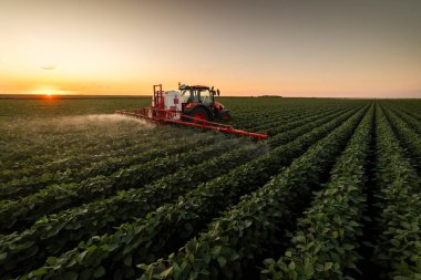 Traktör gün batımında yemyeşil bir alanda soya püskürtüyor.. 