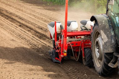 Traktör tohumu eken bir çiftçi. Tarım tarlasına ekin ekiyor. Bitkiler, buğday.