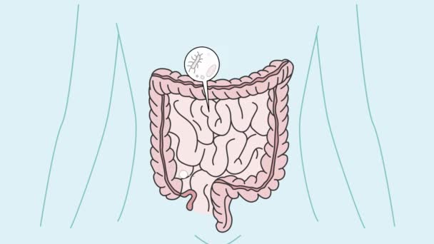 Инфографика различных бактерий в желудке человека. Кишечник человека с бактерией внутри. Пищевой тракт и кишечник. Иллюстрация движения. 