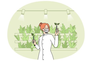 Scientist in uniform working with plants in greenhouse. Woman planting vegetables with aquaponics system at eco farm. Vector illustration.