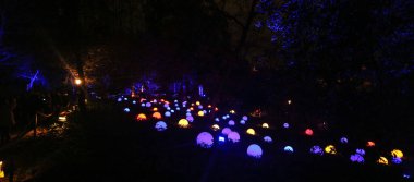 Botanik Bahçesi Parkı 'nda gece aydınlatması ve geçici ışık kurulumu