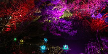 Botanik Bahçesi Parkı 'nda gece aydınlatması ve geçici ışık kurulumu