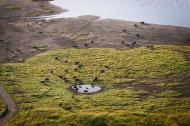 Babun Uçurumu denen tepenin tepesinden panoramik bir manzara. Hayvan siluetleri kıyılarda hareket ederken görülebilir.