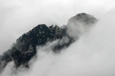 Paraglider Alplerin altındaki bulutlarda uçuyordu. 