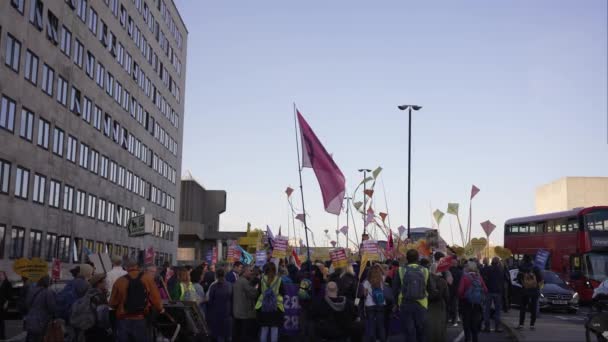 ロンドン 2022 ウォータールー橋の旗を持つ絶滅反乱抗議者 — ストック動画