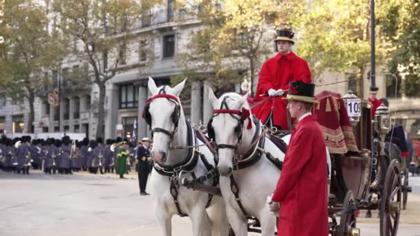 Λονδίνο Ηνωμένο Βασίλειο 2022 Εκπομπές Ατόμων Άλογα Και Πούλμαν Στο — Αρχείο Βίντεο