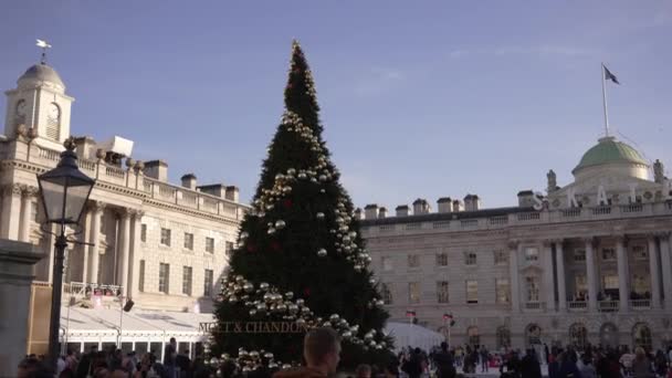 Londres Reino Unido 2022 Hermosas Imágenes Del Árbol Navidad Con — Vídeo de stock