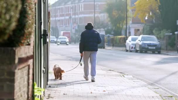 ロンドン イギリス 2022 若い男が西ロンドンの晴れた冬の日に犬を歩く — ストック動画