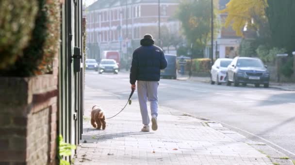 ロンドン イギリス 2022 若い男のスローモーション映像は 西ロンドンの晴れた冬の日に彼の犬を歩く — ストック動画