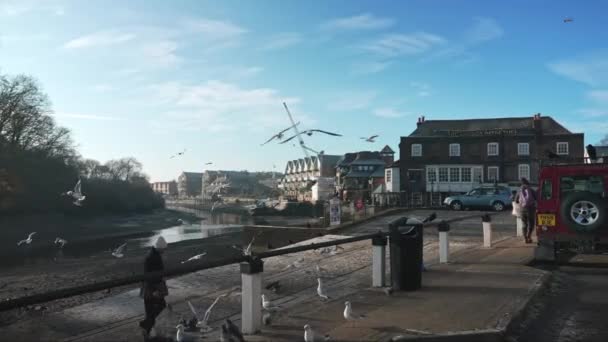 London 2022 Люди Які Годують Птахів Раннім Холодним Сонячним Ранком — стокове відео