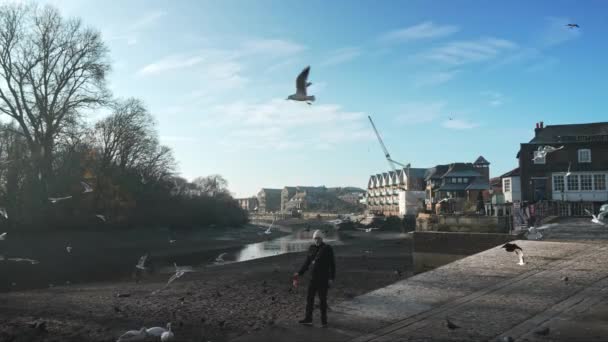 Londýn Velká Británie 2022 Lidé Krmí Ptáky Časným Chladným Mrazivým — Stock video