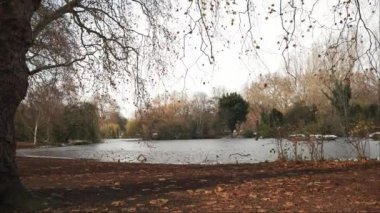 Londra, İngiltere - 2022.12.17: Soğuk kış sabahı St. James 's Park Gölü' nün görüntüleri