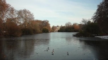 Londra, İngiltere - 2022.12.17: Soğuk kış sabahı St. James 's Park Gölü' nün görüntüleri