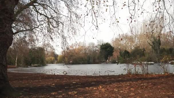 Londýn Velká Británie 2022 Záběry Jezera James Park Chladném Zimním — Stock video