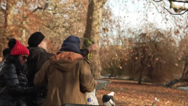 London Storbritannien 2022 Film Parakiter James Park Solig Dag Äter — Stockvideo