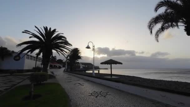 Madeira Portugal 2023 Walking Embankment Praia Das Palmeiras Beach Beautiful — Stock Video