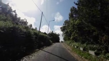 Madeira, Portekiz - 2023.04.04 - 09: Güneşli bir günde Madeira adasındaki bir tepe yolundan geçmek